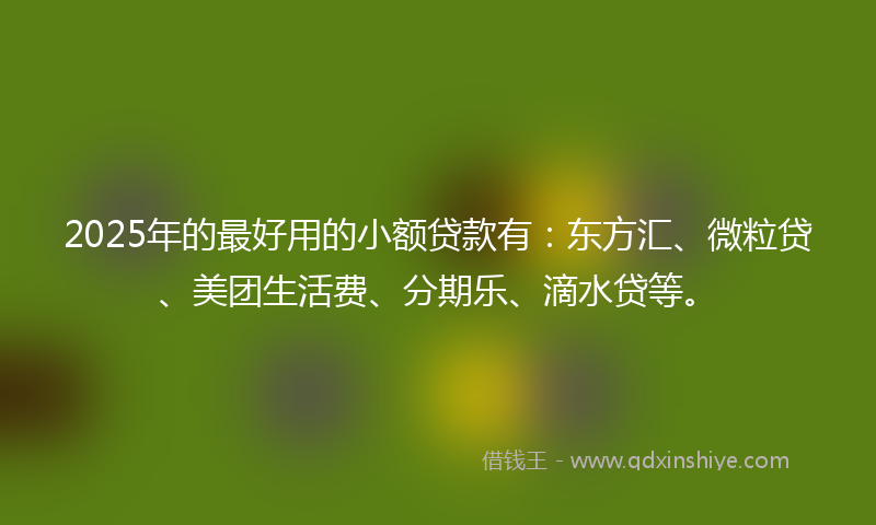 2025年的最好用的小额贷款有：东方汇、微粒贷、美团生活费、分期乐、滴水贷等。