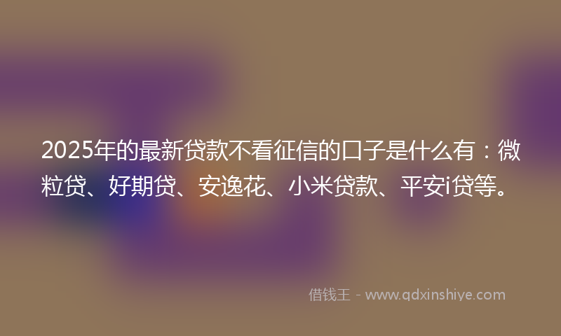 2025年的最新贷款不看征信的口子是什么有：微粒贷、好期贷、安逸花、小米贷款、平安i贷等。