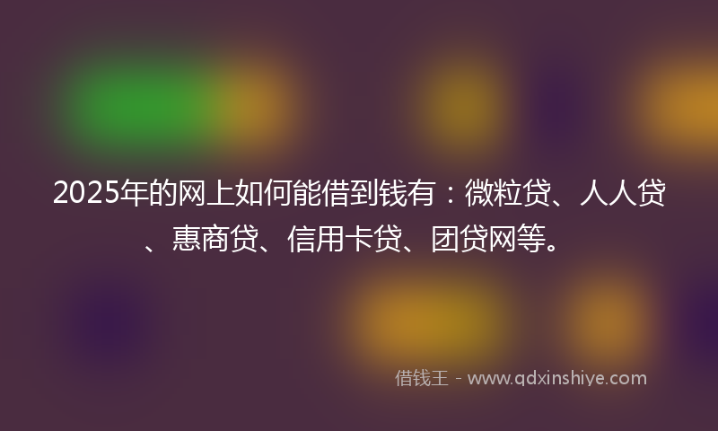 2025年的网上如何能借到钱有：微粒贷、人人贷、惠商贷、信用卡贷、团贷网等。
