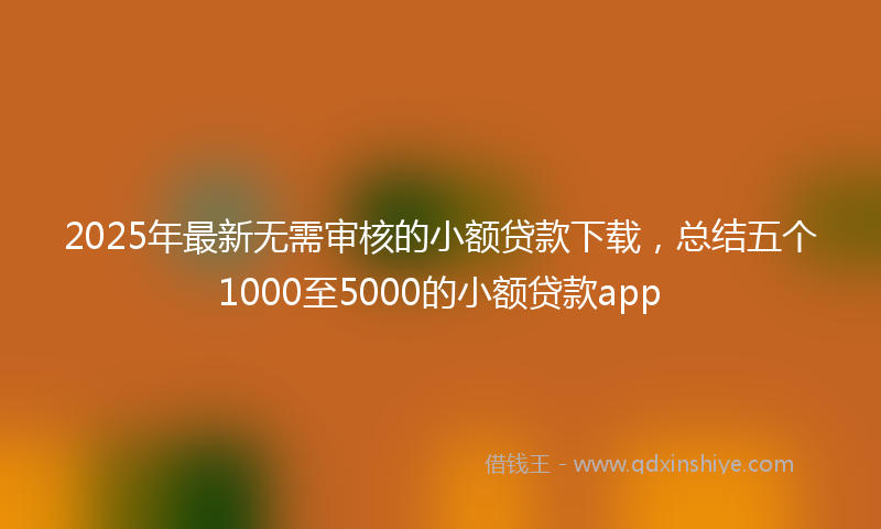 2025年最新无需审核的小额贷款下载，总结五个1000至5000的小额贷款app