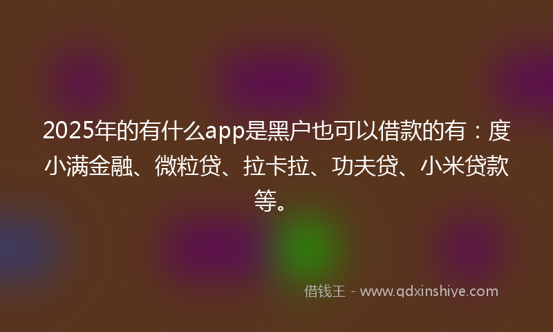 2025年的有什么app是黑户也可以借款的有：度小满金融、微粒贷、拉卡拉、功夫贷、小米贷款等。