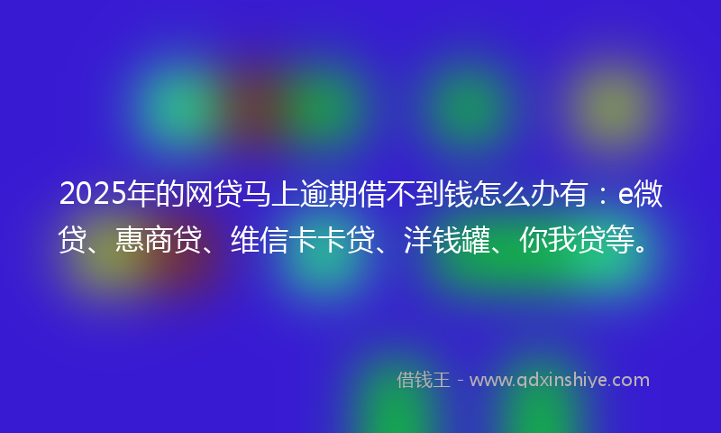 2025年的网贷马上逾期借不到钱怎么办有：e微贷、惠商贷、维信卡卡贷、洋钱罐、你我贷等。