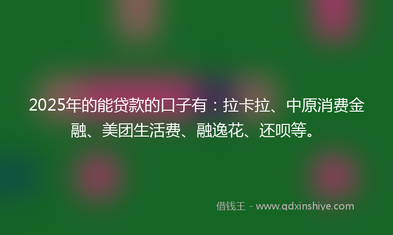 2025年的能贷款的口子有：拉卡拉、中原消费金融、美团生活费、融逸花、还呗等。