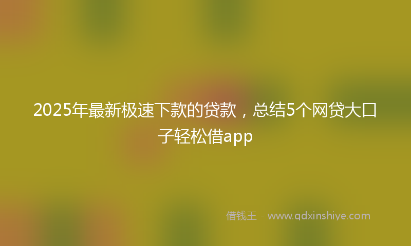 2025年最新极速下款的贷款，总结5个网贷大口子轻松借app