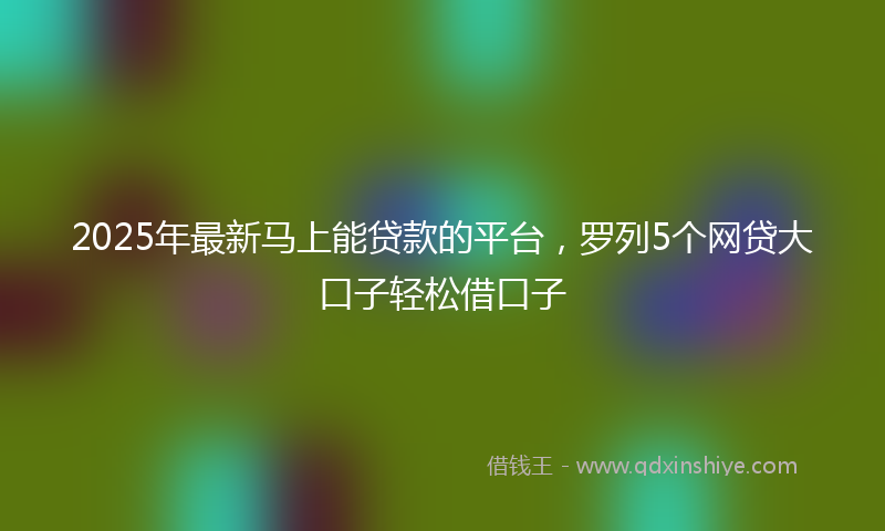2025年最新马上能贷款的平台，罗列5个网贷大口子轻松借口子