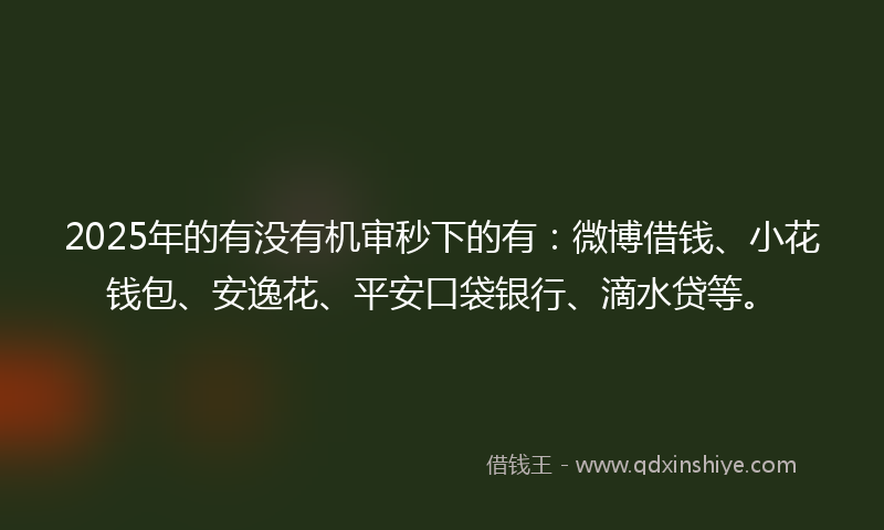 2025年的有没有机审秒下的有：微博借钱、小花钱包、安逸花、平安口袋银行、滴水贷等。