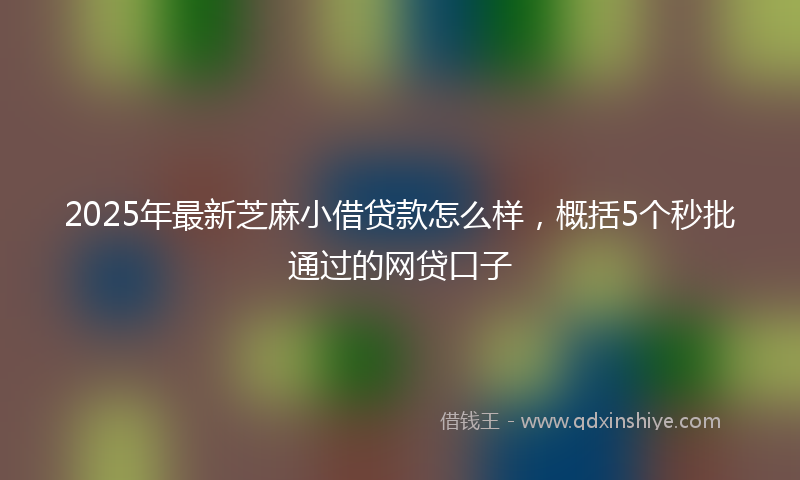 2025年最新芝麻小借贷款怎么样，概括5个秒批通过的网贷口子