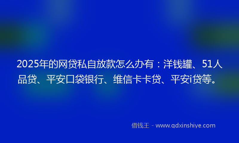 2025年的网贷私自放款怎么办有：洋钱罐、51人品贷、平安口袋银行、维信卡卡贷、平安i贷等。