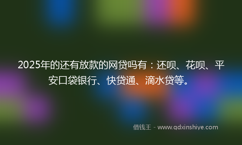 2025年的还有放款的网贷吗有：还呗、花呗、平安口袋银行、快贷通、滴水贷等。