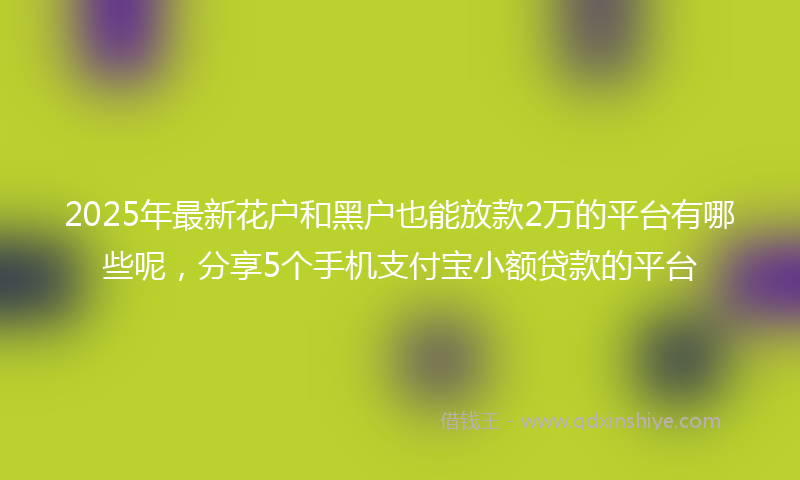 2025年最新花户和黑户也能放款2万的平台有哪些呢，分享5个手机支付宝小额贷款的平台