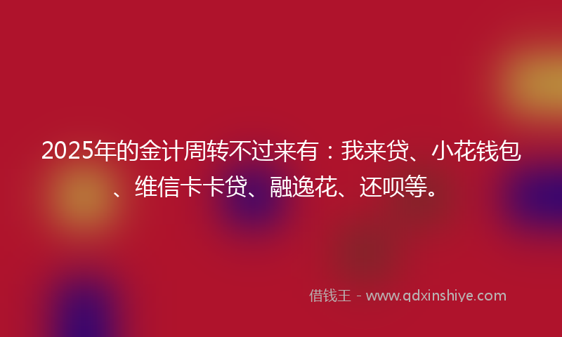 2025年的金计周转不过来有：我来贷、小花钱包、维信卡卡贷、融逸花、还呗等。