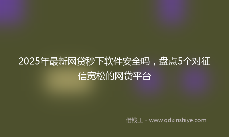 2025年最新网贷秒下软件安全吗，盘点5个对征信宽松的网贷平台