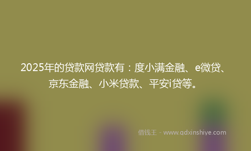 2025年的贷款网贷款有：度小满金融、e微贷、京东金融、小米贷款、平安i贷等。