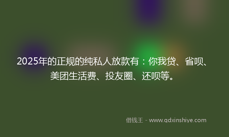 2025年的正规的纯私人放款有：你我贷、省呗、美团生活费、投友圈、还呗等。