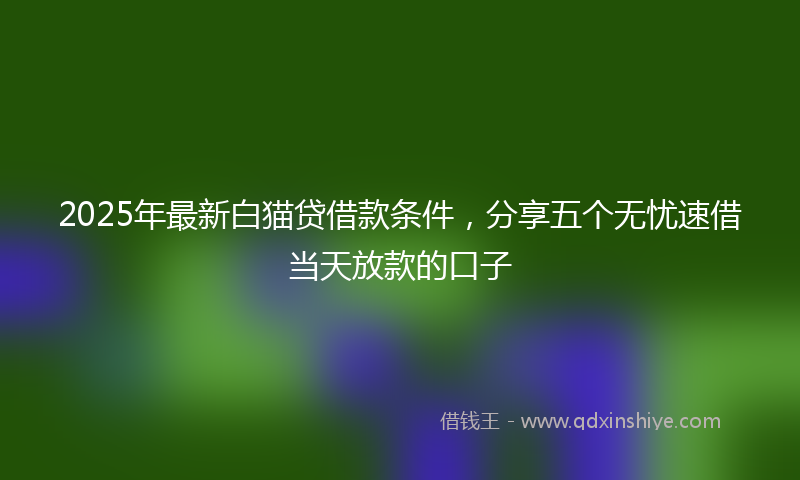 2025年最新白猫贷借款条件，分享五个无忧速借当天放款的口子
