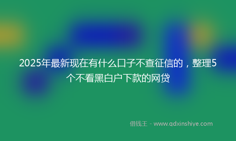2025年最新现在有什么口子不查征信的，整理5个不看黑白户下款的网贷