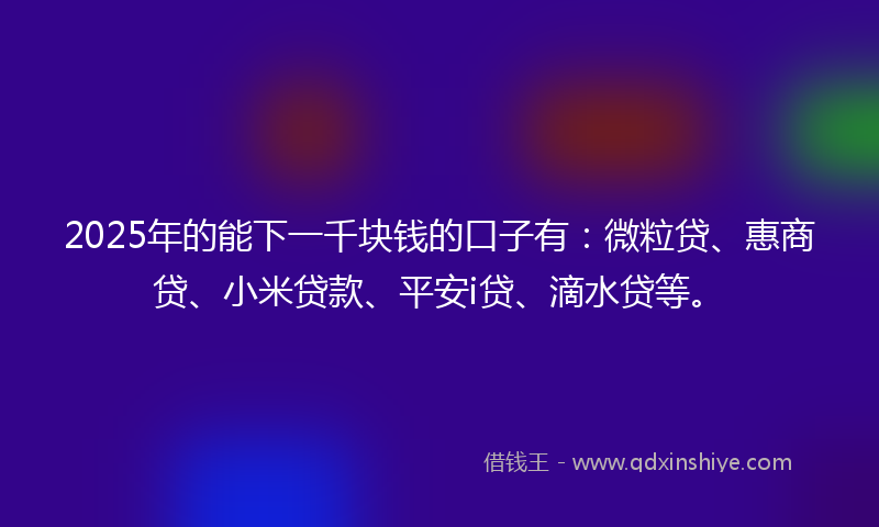 2025年的能下一千块钱的口子有:微粒贷、惠商贷、小米贷款、平安i贷、滴水贷等。