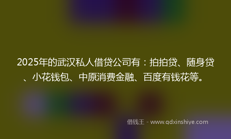 2025年的武汉私人借贷公司有：拍拍贷、随身贷、小花钱包、中原消费金融、百度有钱花等。