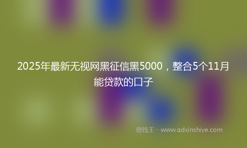 2025年最新无视网黑征信黑5000，整合5个11月能贷款的口子
