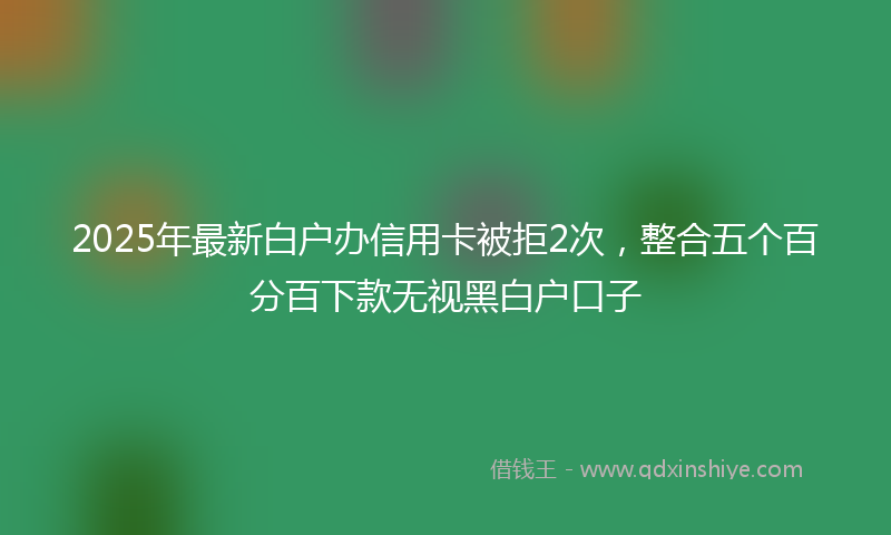 2025年最新白户办信用卡被拒2次，整合五个百分百下款无视黑白户口子