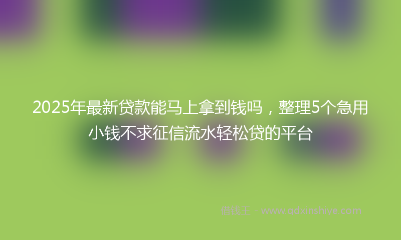 2025年最新贷款能马上拿到钱吗，整理5个急用小钱不求征信流水轻松贷的平台