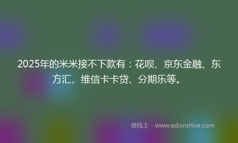 2025年的米米接不下款有：花呗、京东金融、东方汇、维信卡卡贷、分期乐等。