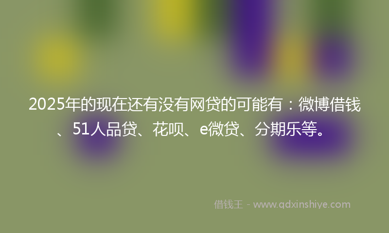 2025年的现在还有没有网贷的可能有：微博借钱、51人品贷、花呗、e微贷、分期乐等。