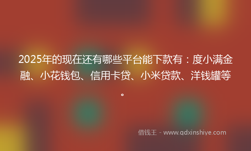 2025年的现在还有哪些平台能下款有：度小满金融、小花钱包、信用卡贷、小米贷款、洋钱罐等。