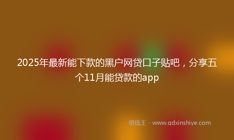 2025年最新能下款的黑户网贷口子贴吧，分享五个11月能贷款的app