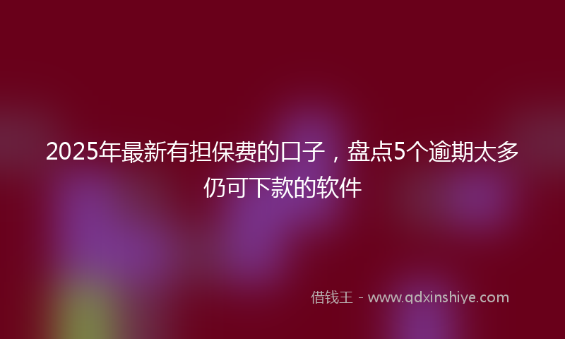 2025年最新有担保费的口子，盘点5个逾期太多仍可下款的软件