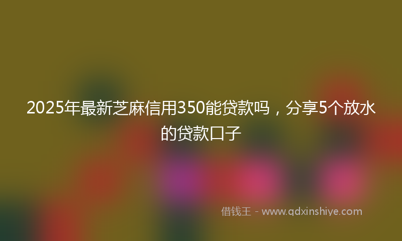 2025年最新芝麻信用350能贷款吗，分享5个放水的贷款口子