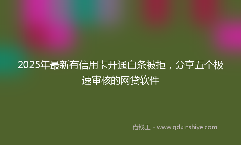 2025年最新有信用卡开通白条被拒，分享五个极速审核的网贷软件