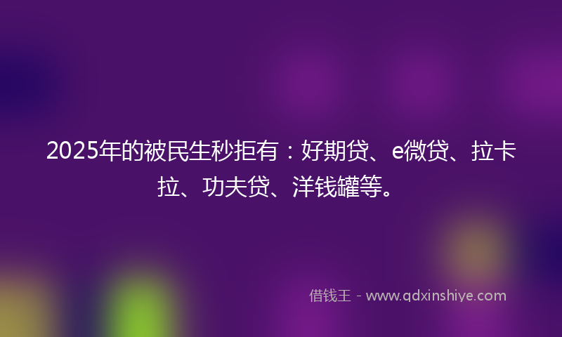 2025年的被民生秒拒有：好期贷、e微贷、拉卡拉、功夫贷、洋钱罐等。