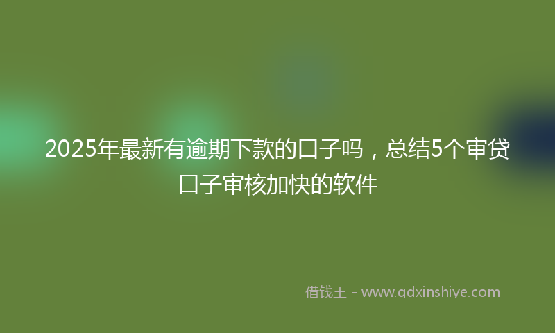 2025年最新有逾期下款的口子吗，总结5个审贷口子审核加快的软件