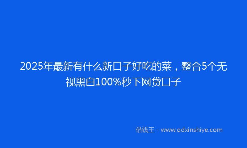 2025年最新有什么新口子好吃的菜，整合5个无视黑白100%秒下网贷口子