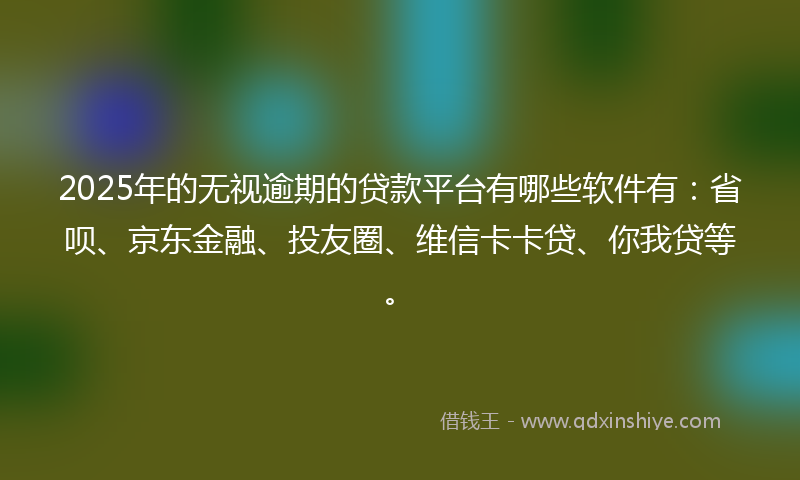 2025年的无视逾期的贷款平台有哪些软件有：省呗、京东金融、投友圈、维信卡卡贷、你我贷等。