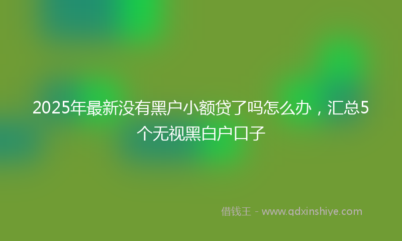 2025年最新没有黑户小额贷了吗怎么办，汇总5个无视黑白户口子
