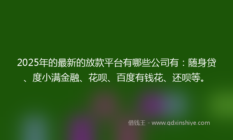 2025年的最新的放款平台有哪些公司有：随身贷、度小满金融、花呗、百度有钱花、还呗等。