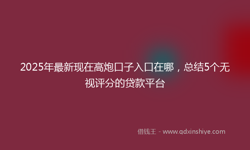 2025年最新现在高炮口子入口在哪，总结5个无视评分的贷款平台