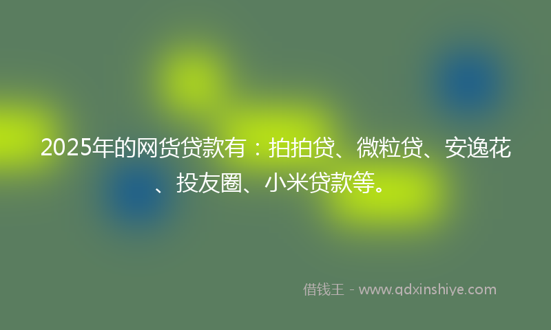 2025年的网货贷款有：拍拍贷、微粒贷、安逸花、投友圈、小米贷款等。