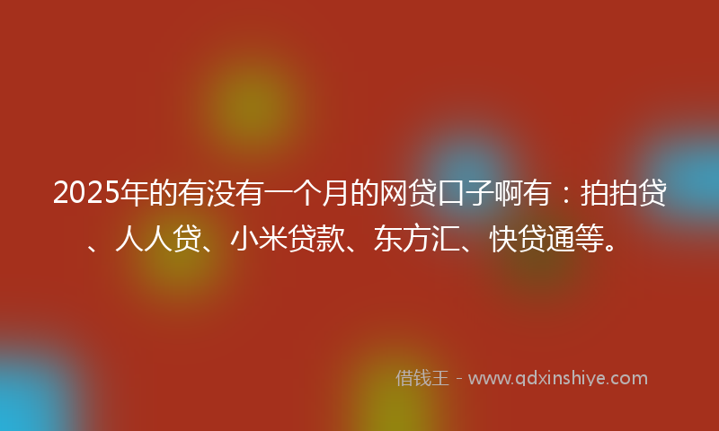 2025年的有没有一个月的网贷口子啊有：拍拍贷、人人贷、小米贷款、东方汇、快贷通等。