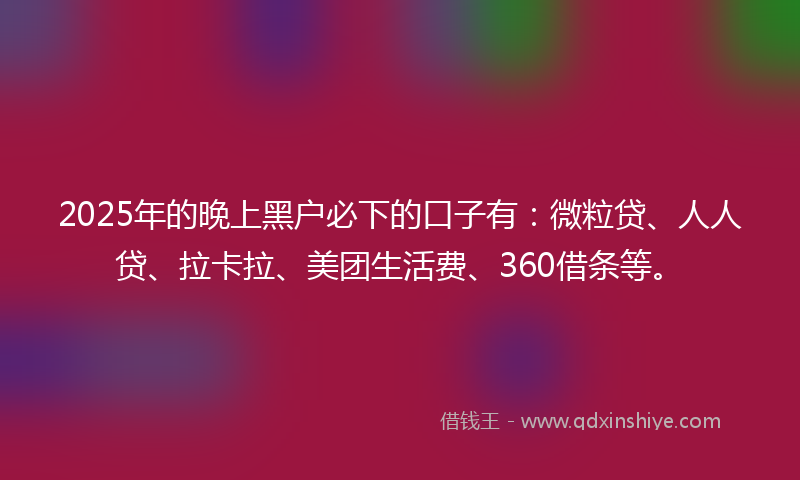 2025年的晚上黑户必下的口子有：微粒贷、人人贷、拉卡拉、美团生活费、360借条等。