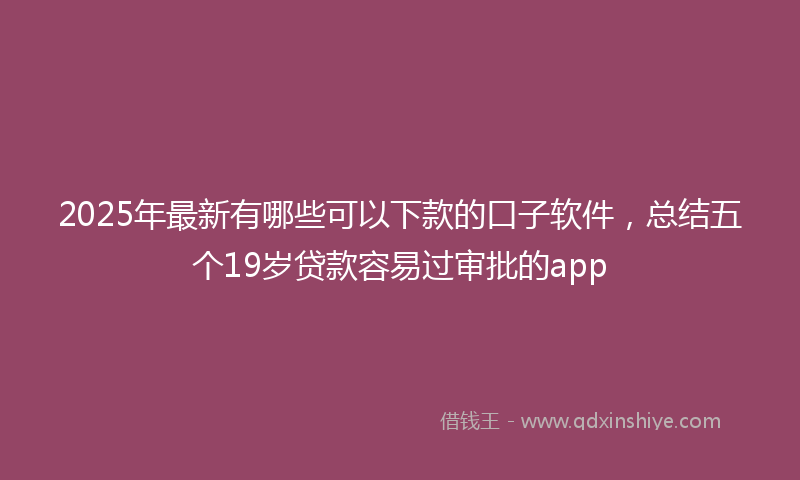 2025年最新有哪些可以下款的口子软件，总结五个19岁贷款容易过审批的app