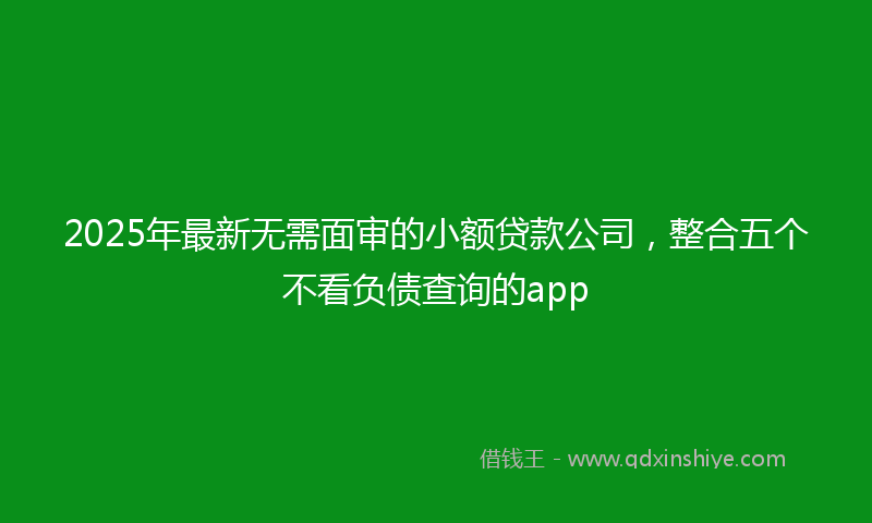 2025年最新无需面审的小额贷款公司，整合五个不看负债查询的app