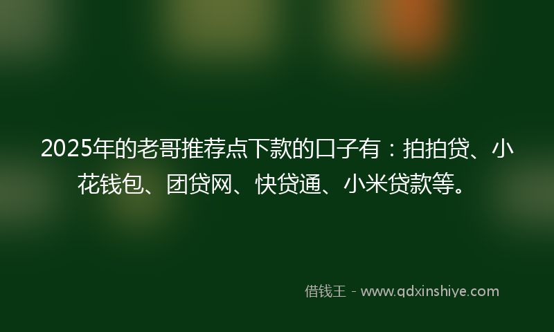 2025年的老哥推荐点下款的口子有：拍拍贷、小花钱包、团贷网、快贷通、小米贷款等。