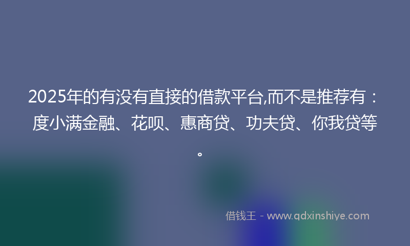 2025年的有没有直接的借款平台,而不是推荐有：度小满金融、花呗、惠商贷、功夫贷、你我贷等。