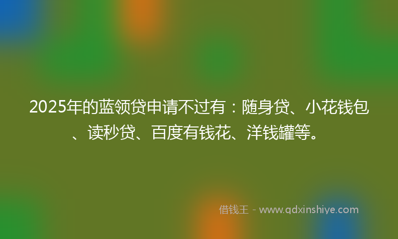 2025年的蓝领贷申请不过有：随身贷、小花钱包、读秒贷、百度有钱花、洋钱罐等。
