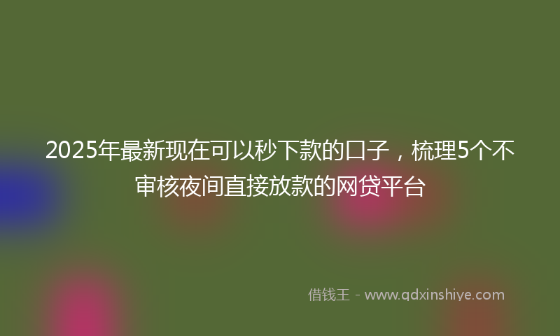 2025年最新现在可以秒下款的口子，梳理5个不审核夜间直接放款的网贷平台