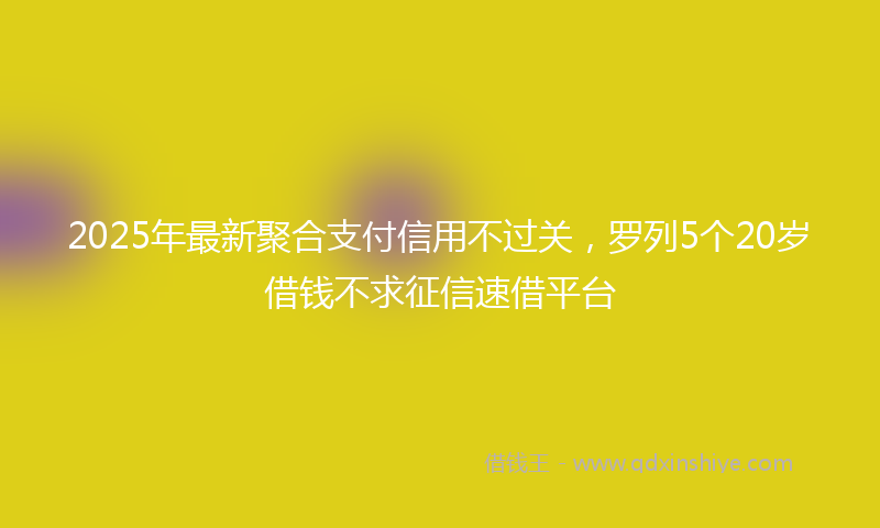 2025年最新聚合支付信用不过关，罗列5个20岁借钱不求征信速借平台
