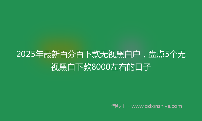 2025年最新百分百下款无视黑白户，盘点5个无视黑白下款8000左右的口子